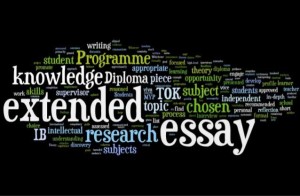 extended-essays-type